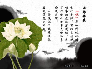 爱莲说的拼音