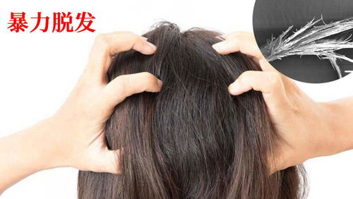 为什么头发会分叉(头发分叉的原因有哪些)