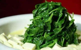豆腐和菠菜能一起吃吗?