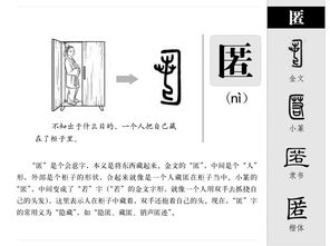 匿的意思是什么 匿是什么意思