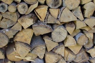 wood可数吗