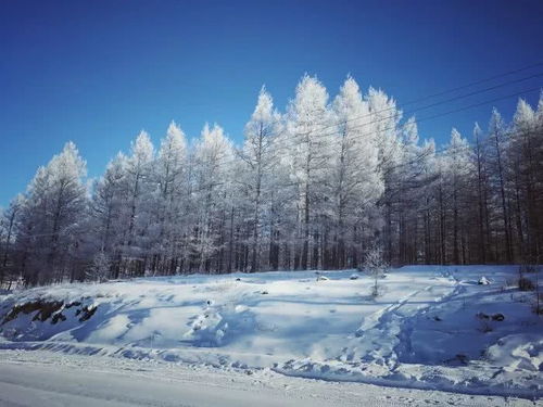 你就像那一把火~~~的歌词?