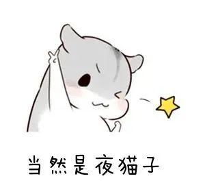 夜猫子是啥意思?