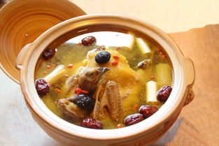 鸡汤怎么炖才是奶白色,还不油腻?