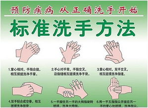 手卫生包括?