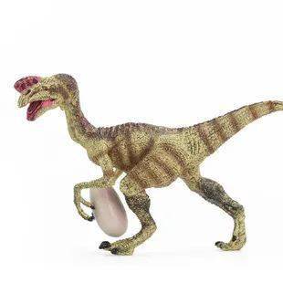 窃蛋龙的名字是怎样来的?