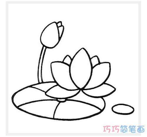 怎么画荷花简单又好看