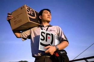 顺丰快递查询电话号码是多少?