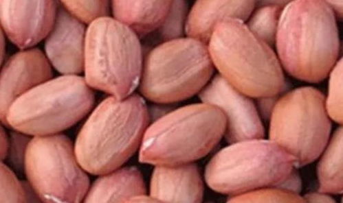 调理神经吃哪种维生素比较好?