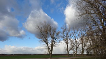太阳雪是怎么回事