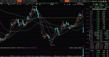 买到停牌的股票好不好