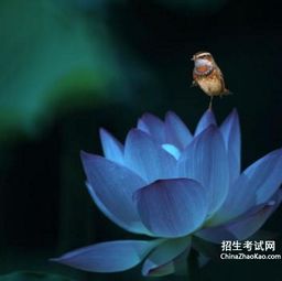 漫长的近义词