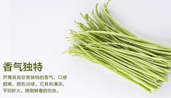 藜蒿什么季节有?藜蒿是发物吗