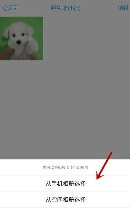 qq里的精选照片怎么关闭