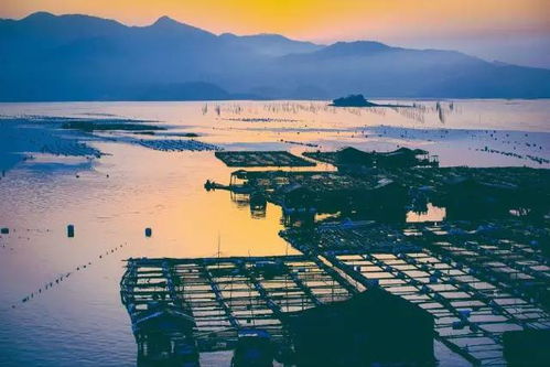 浙江省霞浦县属于哪个管辖