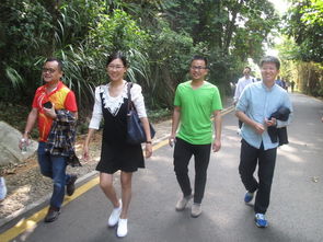 兴高采烈是什么意思 ?