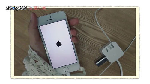 苹果手机充电没反应是怎么回事