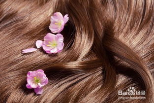 头发掉吃什么食物好?