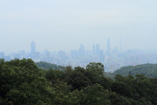 广州白云山要门票吗?