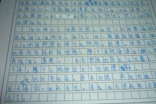 五年级上册第三单元作文怎样写?500字左右