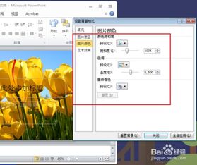 ppt背景图片怎么设置