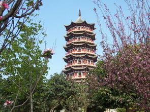 昆明昙华寺公园在哪里