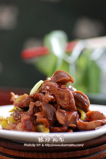 鸡胗怎么做又嫩又好吃