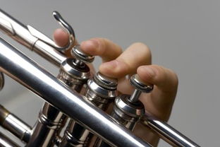 trumpet的中文意思。