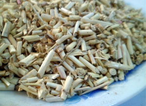 白茅根有什么作用与功效?