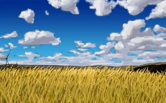 秋高气爽的造句