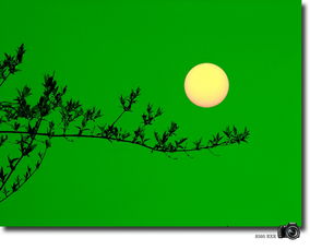 "我心中有个太阳,我心中有个月亮"是哪首歌里面的歌词