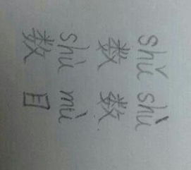 “数数”的拼音是什么?