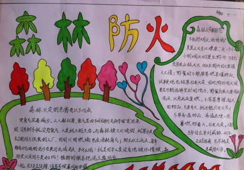 森林防火安全手抄报内容简短