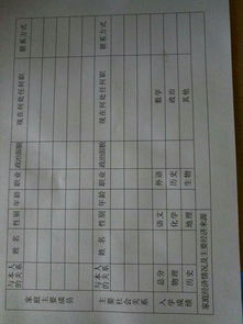 主要社会关系怎么填?