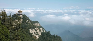 中国钟南山院士身高有180吗