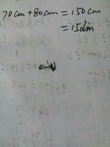 80厘米等于多少分米