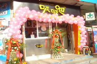 辽宁的想加盟珍珠奶茶咋办(急)100分