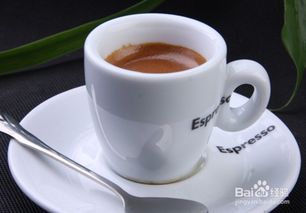咖啡有哪些种类