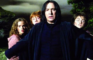 以下哪个不是《哈利波特》系列里霍尔沃兹的教授