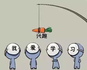 怎样才能让学习提高