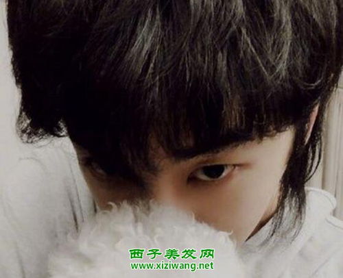女生狼尾发型适合什么脸型,狼尾发型怎么留起来
