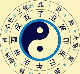 古代的十二个时辰分别是什么