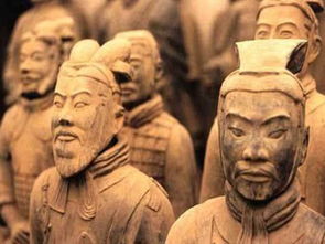 秦始皇兵马俑的简介