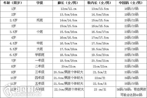 儿童鞋子码数对照