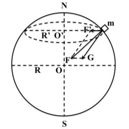 重力的方向是什么