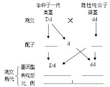 测交是啥意思(测交是什么呢)