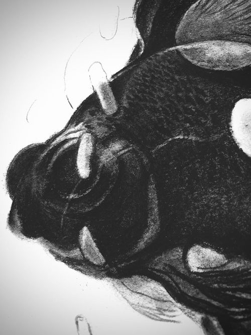 是水生金还是金生水