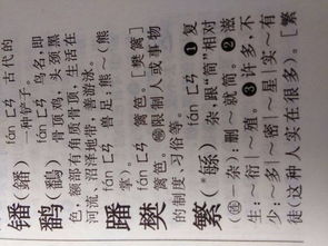樊字怎么读