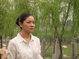 闯荡电视剧剧情介绍