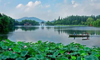 毕竟西湖六月中全诗